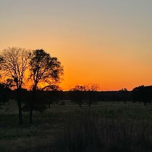 Meet your Posher, Talia